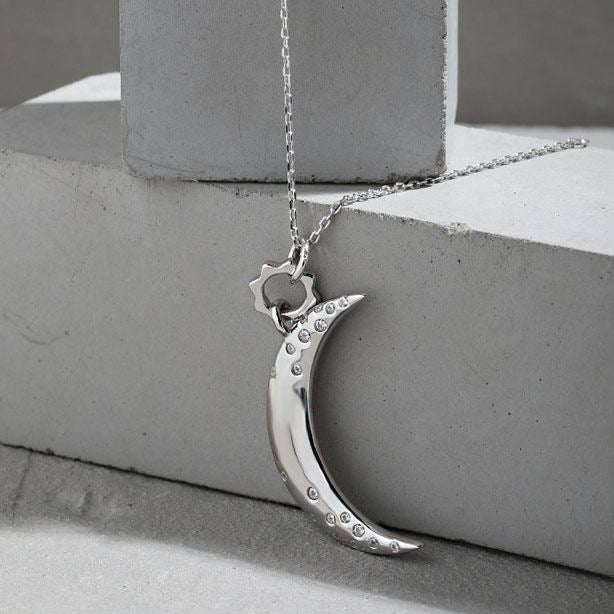 Women CZ Crescent Moon Silver Necklace