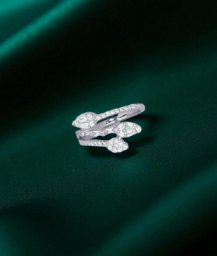Snake Wrap Silver Ring