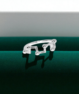 Zodiac Constellation Silver Ring