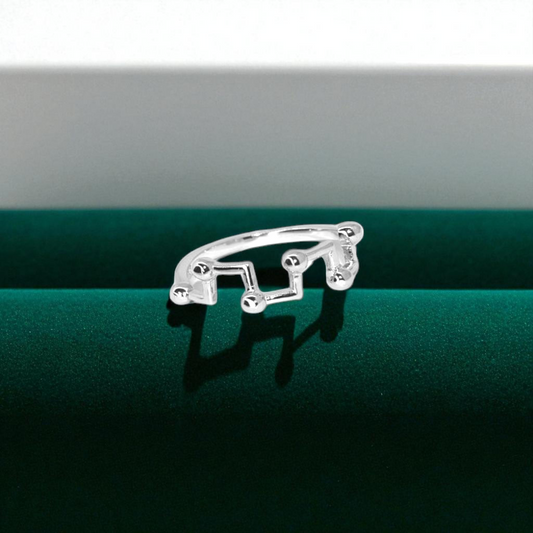 Zodiac Constellation Silver Ring